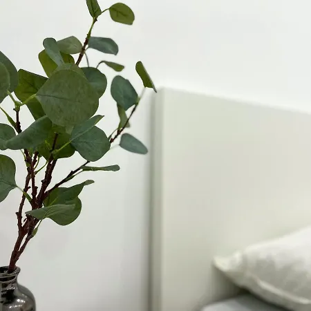 Ferienwohnung Schoenes Maifeld Polch Esterno foto